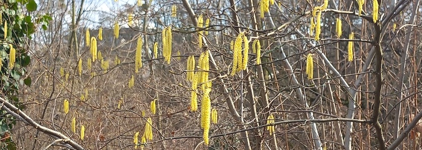 Hassobjekt für Allergiker